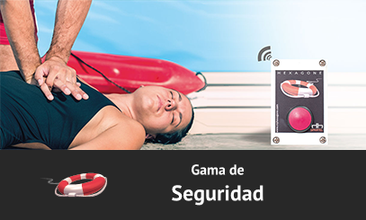 Hexagone Seguridad 