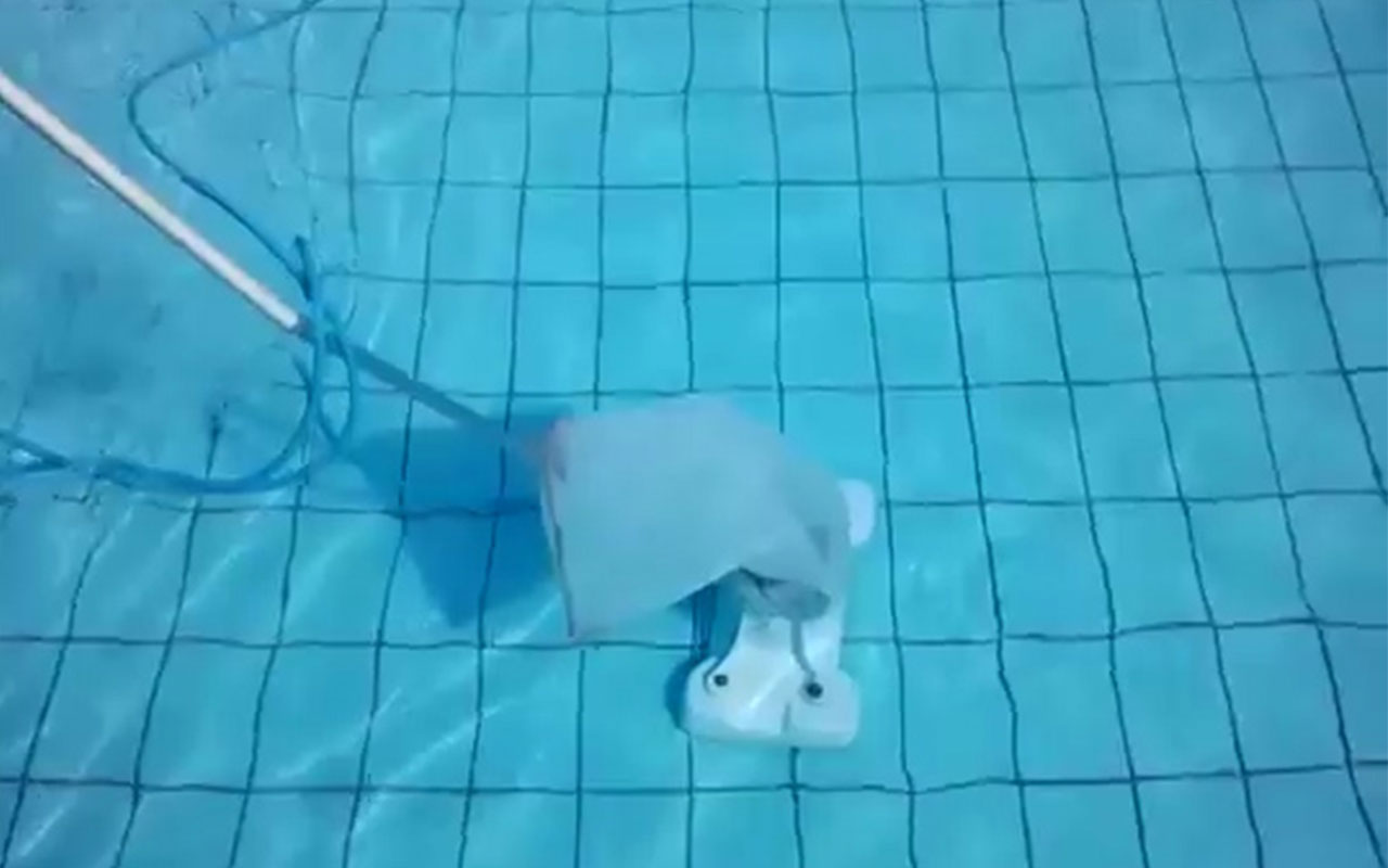 Quick Vac